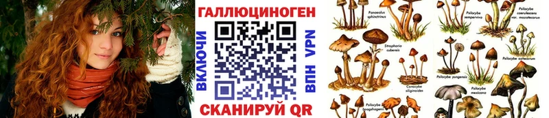 Псилоцибиновые грибы Psilocybine cubensis  kraken как зайти  Волгореченск 